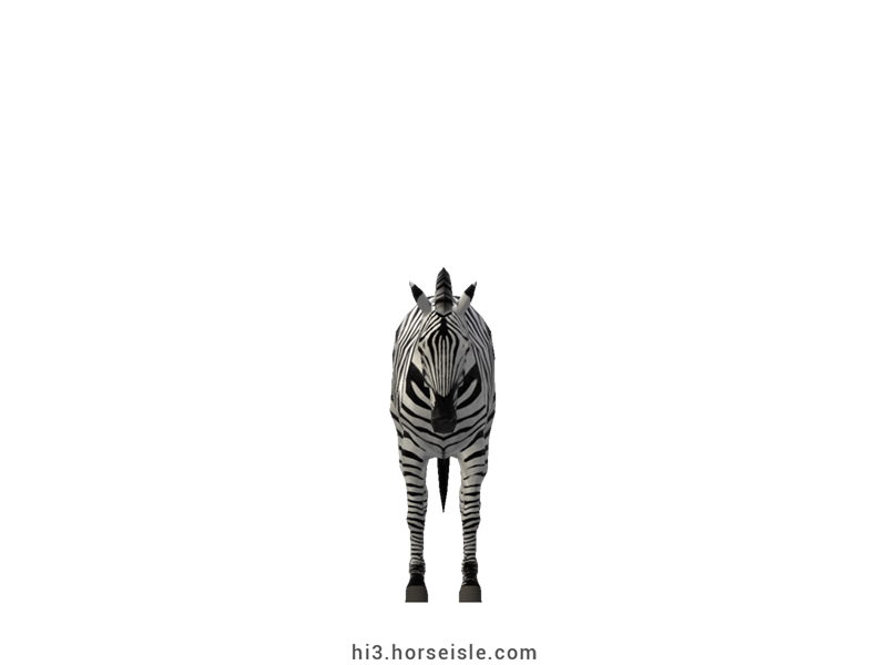 Plains Zebra White Striped Coat (front view)